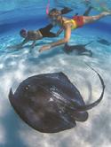 Grand Cayman Vacation Package Deals