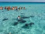 Grand Cayman discount travel